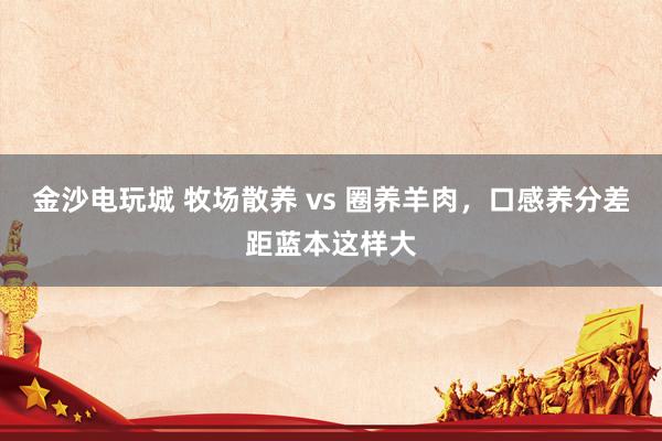 金沙电玩城 牧场散养 vs 圈养羊肉，口感养分差距蓝本这样大
