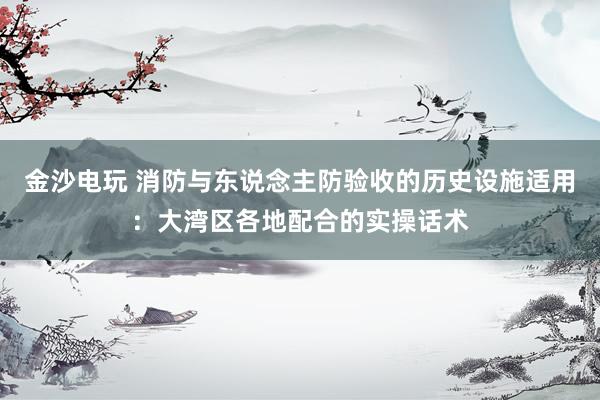 金沙电玩 消防与东说念主防验收的历史设施适用：大湾区各地配合的实操话术