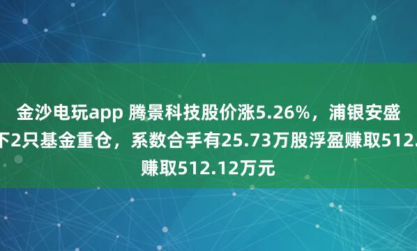 金沙电玩app 腾景科技股价涨5.26%，浦银安盛基金旗下2只基金重仓，系数合手有25.73万股浮盈赚取512.12万元
