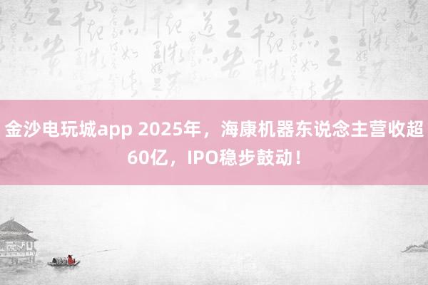 金沙电玩城app 2025年，海康机器东说念主营收超60亿，IPO稳步鼓动！