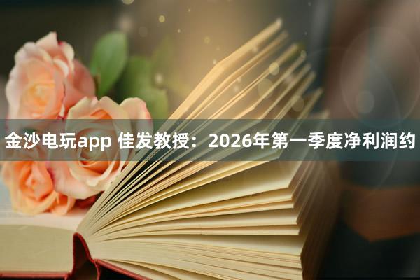 金沙电玩app 佳发教授：2026年第一季度净利润约