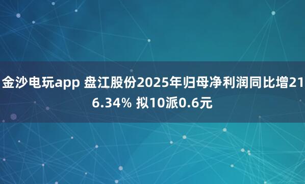 金沙电玩app 盘江股份2025年归母净利润同比增216.34% 拟10派0.6元