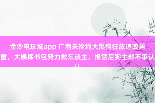 金沙电玩城app 广西未拴绳大黑狗狂放追咬男童，大姨挥书包努力救东谈主，报警后狗主却不承认