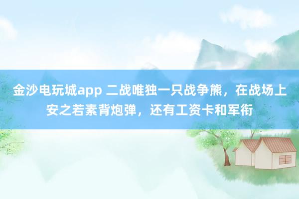 金沙电玩城app 二战唯独一只战争熊，在战场上安之若素背炮弹，还有工资卡和军衔