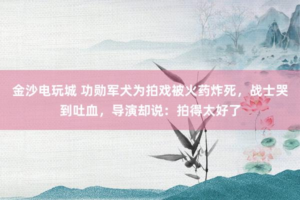 金沙电玩城 功勋军犬为拍戏被火药炸死，战士哭到吐血，导演却说：拍得太好了