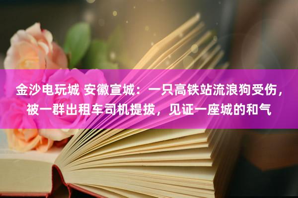 金沙电玩城 安徽宣城：一只高铁站流浪狗受伤，被一群出租车司机提拔，见证一座城的和气
