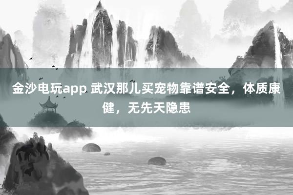 金沙电玩app 武汉那儿买宠物靠谱安全，体质康健，无先天隐患