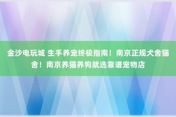 金沙电玩城 生手养宠终极指南！南京正规犬舍猫舍！南京养猫养狗就选靠谱宠物店