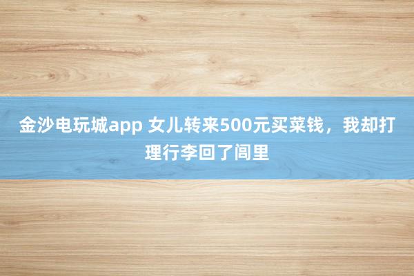 金沙电玩城app 女儿转来500元买菜钱，我却打理行李回了闾里