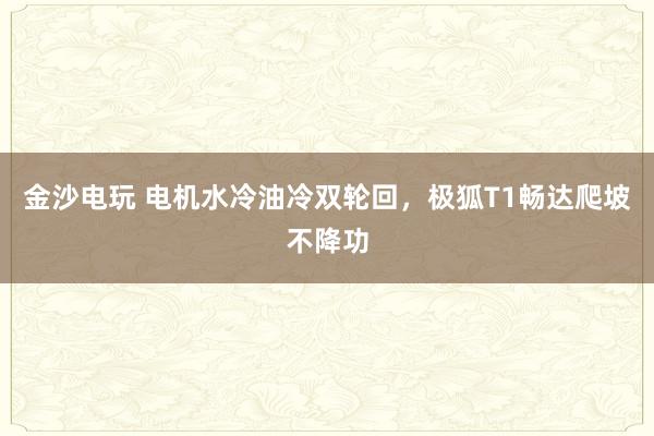 金沙电玩 电机水冷油冷双轮回，极狐T1畅达爬坡不降功