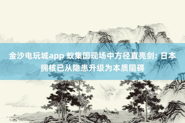 金沙电玩城app 蚁集国现场中方径直亮剑: 日本拥核已从隐患升级为本质阻碍