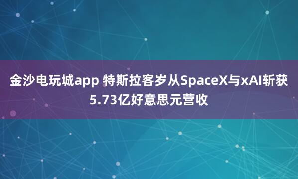 金沙电玩城app 特斯拉客岁从SpaceX与xAI斩获5.73亿好意思元营收