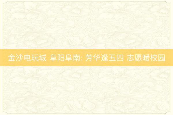 金沙电玩城 阜阳阜南: 芳华逢五四 志愿暖校园